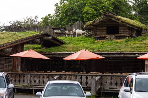 Ziegen am Dach - DIE Touristenattraktion von Coombs