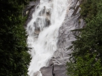 Shannon Falls