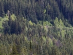 Blick auf die Upper Spiral Tunnels mit Zug