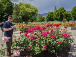 Rosengarten im Stadtpark von Kelowna