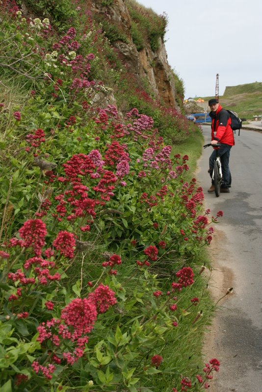 Fahrradausflug auf Alderney