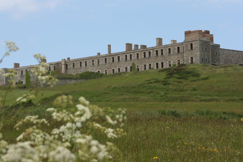 Fort Tourgis