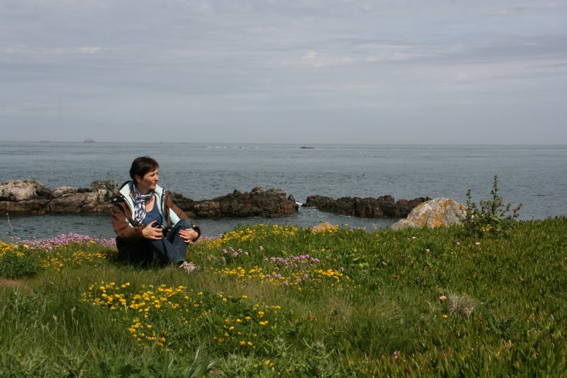 Küste vor Fort Clonque mit Frauenschuh und Grasnelken