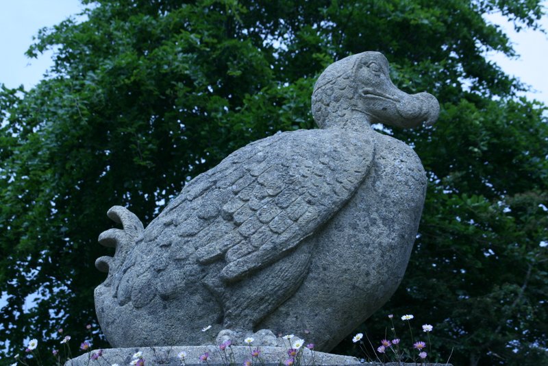 Dodo im Durrell Wildlife Park