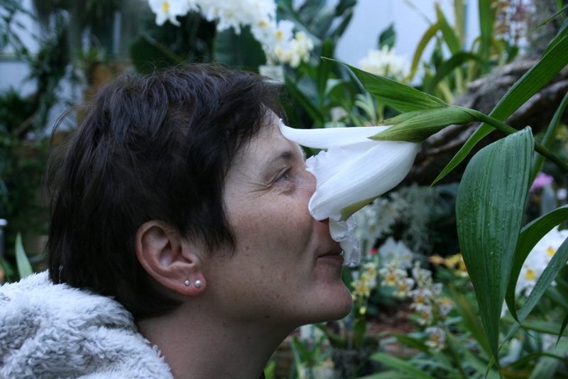 Eric Young Orchid Foundation