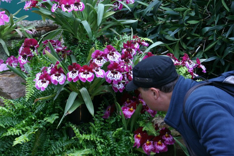 Eric Young Orchid Foundation