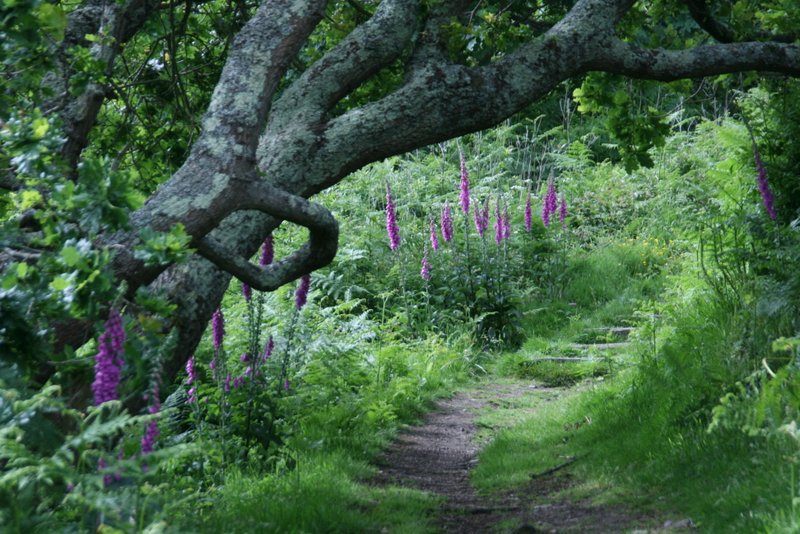 Wanderung nach Rozel