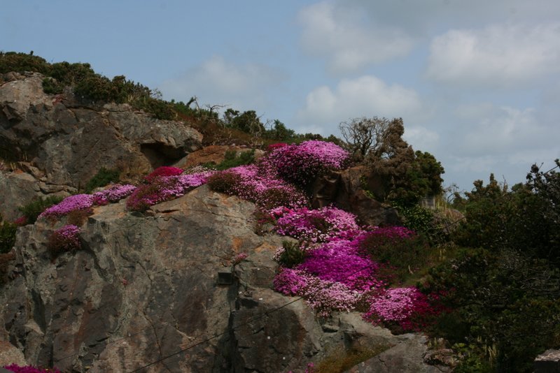 Wanderung nach Rozel