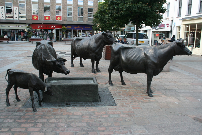 Ein Denkmal für das berühmte Jersey Rind - mitten in St. Helier