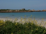 Nordküste von Guernsey