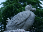 Dodo im Durrell Wildlife Park