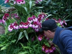 Eric Young Orchid Foundation