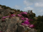 Wanderung nach Rozel