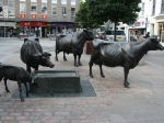 Ein Denkmal für das berühmte Jersey Rind - mitten in St. Helier