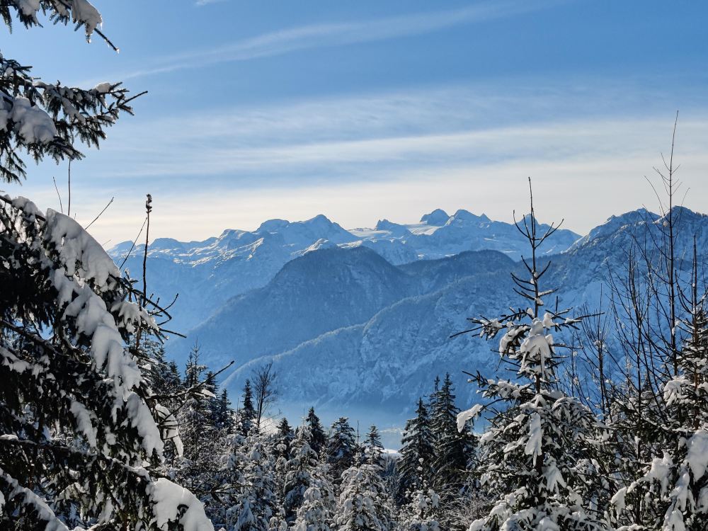 Ausblick mit Sicht zum Dachstein