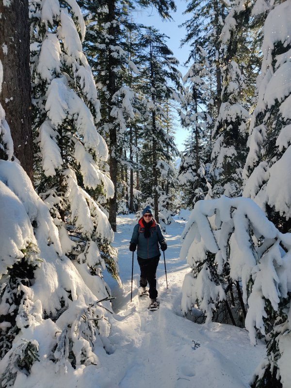 Im freien Gelände durch den Winterwald