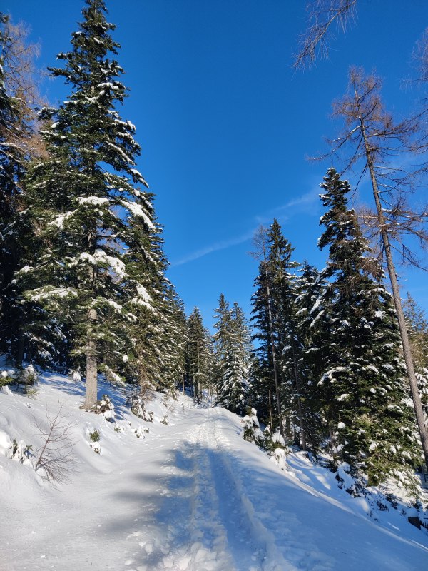 Wanderweg