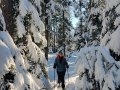 Im freien Gelände durch den Winterwald