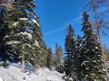 Wanderweg