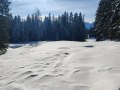Im freien Gelände gehts zurück