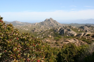 Désert des Agriates - tolle Macchialandschaft