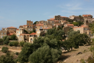 Pigna