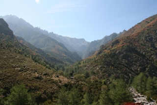 Vallée de l´Asco / Asco-Tal