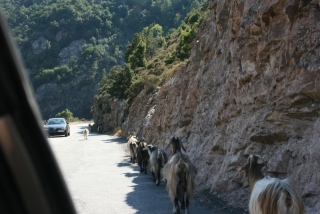 Alles ist auf dem Nachhauseweg