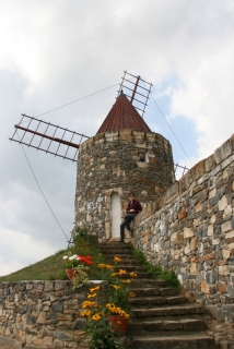 Die südlichen Mühlen im Gifhorner Mühlenmuseum