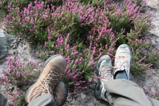 Zwischendurch mal eine kleine Pause...