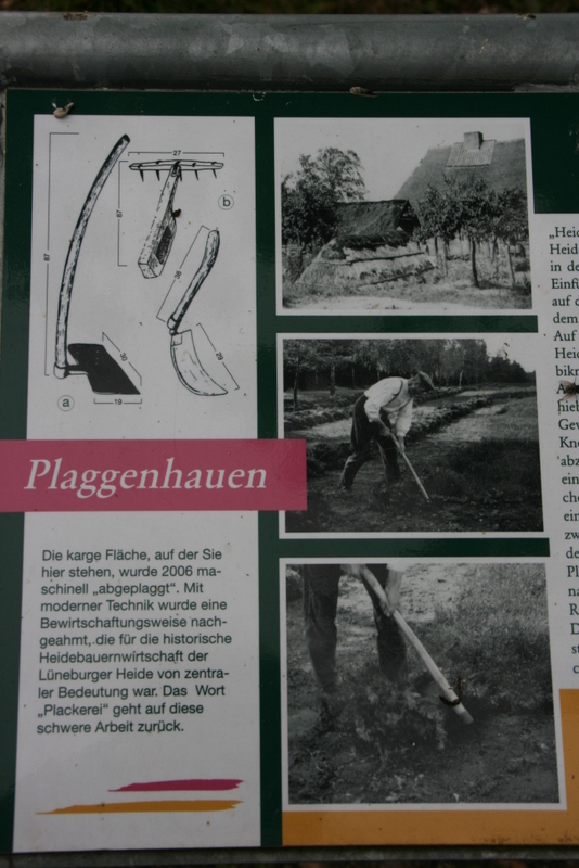 Infotafel am Heidelehrpfad