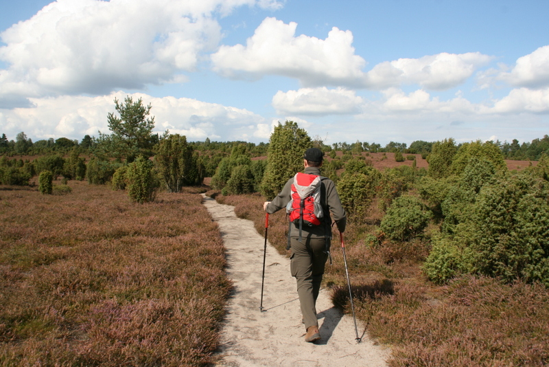 Wanderung in der  Ellerndorfer Wacholder Heide