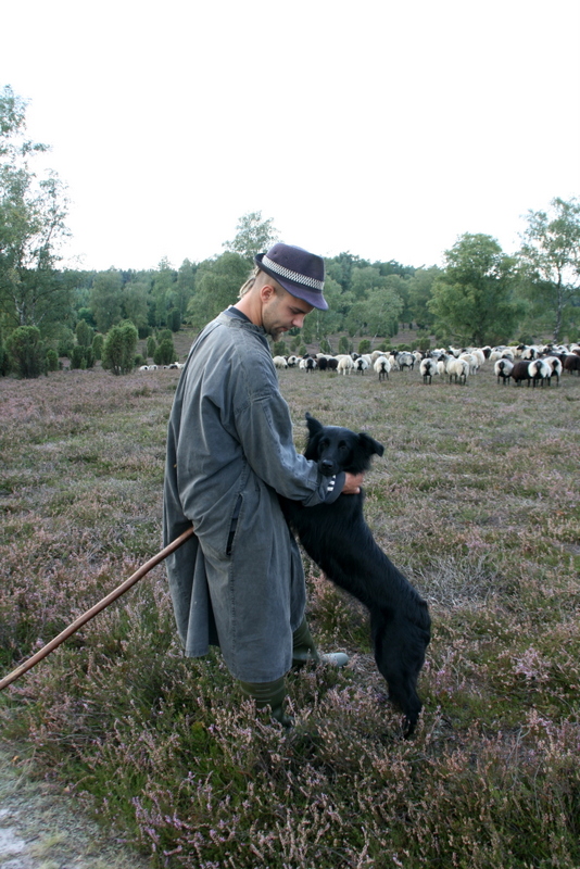 Schäfer mit Hund in der Ellerndorfer Wacholder Heide