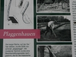 Infotafel am Heidelehrpfad