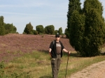 Heidelandschaft auf der Wanderung zum Wilseder Berg