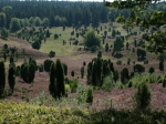 Der Totengrund