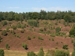 Der Totengrund