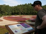 Blühende Heide im Heidegarten Höpen