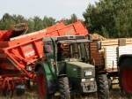 Kartoffelernte