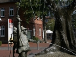 Der Stadtbrunnen in Schneverdingen