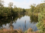 Pietzmoor
