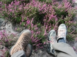 Zwischendurch mal eine kleine Pause...