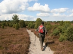 Wanderung in der  Ellerndorfer Wacholder Heide