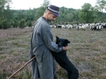 Schäfer mit Hund in der Ellerndorfer Wacholder Heide