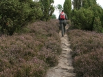 Wanderung in der Ellerndorfer Wacholder Heide