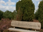 Wanderung in der Ellerndorfer Wacholder Heide