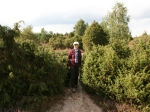 Wanderung in der Ellerndorfer Wacholder Heide