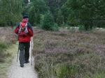 Wanderung Oberhaverbeck