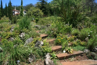 schöne Wege in den Palheiro Gardens