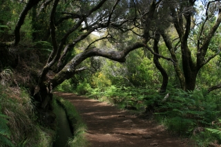Wanderweg bei Rabaçal